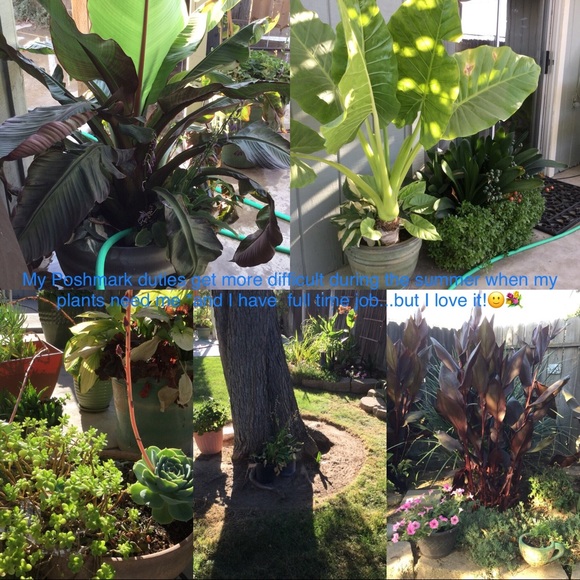 POSHMARK AMBASSADOR II dalialafleur - Picture 11 of 11